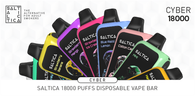 https://www.saltica.co.uk/wp-content/uploads/2024/05/cyber-18000-eng.png